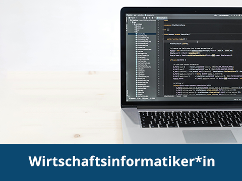 Wirtschaftsinformatiker*in